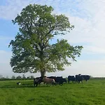 Kitty's - Horse And Jockey, Cashel Hébergement de vacances *