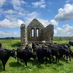 Hébergement de vacances Kitty's - Horse And Jockey, Cashel Thurles