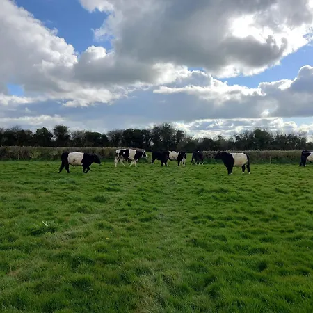 Nyaraló Kitty's - Horse And Jockey, Cashel *