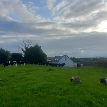 Kitty's - Horse And Jockey, Cashel