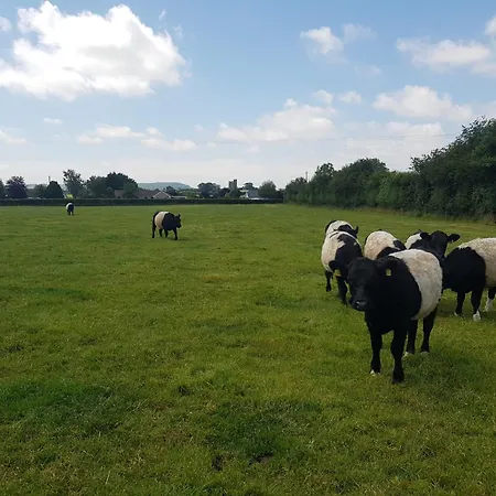 Feriehus Kitty's - Horse And Jockey, Cashel