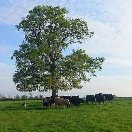 Kitty's - Horse And Jockey, Cashel Vakantiehuis *