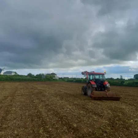 Kitty's - Horse And Jockey, Cashel *