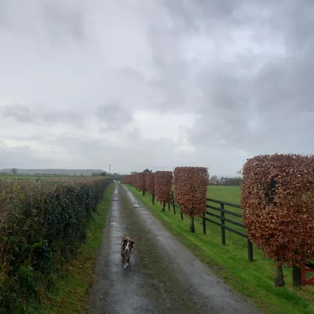 Kitty's - Horse And Jockey, Cashel * Thurles