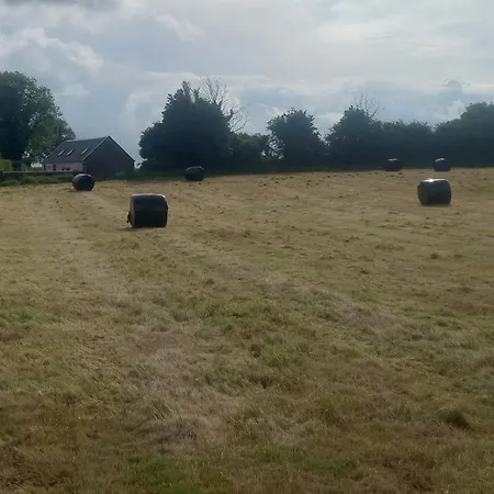 Dom wakacyjny Kitty's - Horse And Jockey, Cashel Thurles