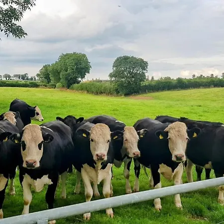 Kitty's - Horse And Jockey, Cashel * Thurles