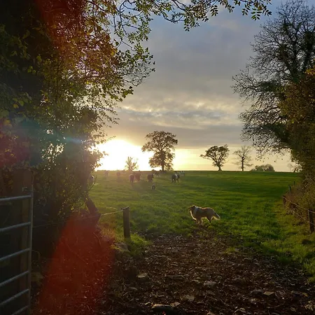 Dom wakacyjny Kitty's - Horse And Jockey, Cashel