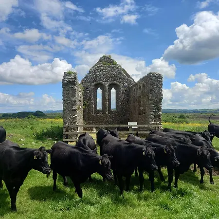 Feriehus Kitty's - Horse And Jockey, Cashel Thurles