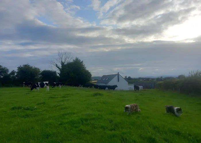 Kitty's - Horse And Jockey, Cashel