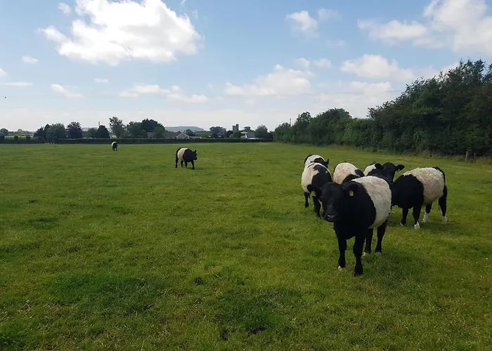 Semesterbostad Kitty's - Horse And Jockey, Cashel