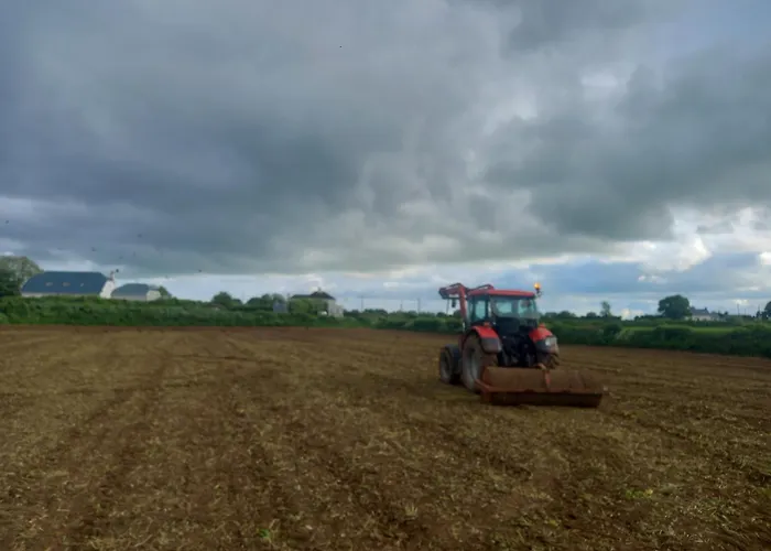 Kitty's - Horse And Jockey, Cashel *