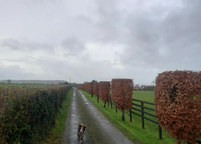 Kitty's - Horse And Jockey, Cashel * Thurles