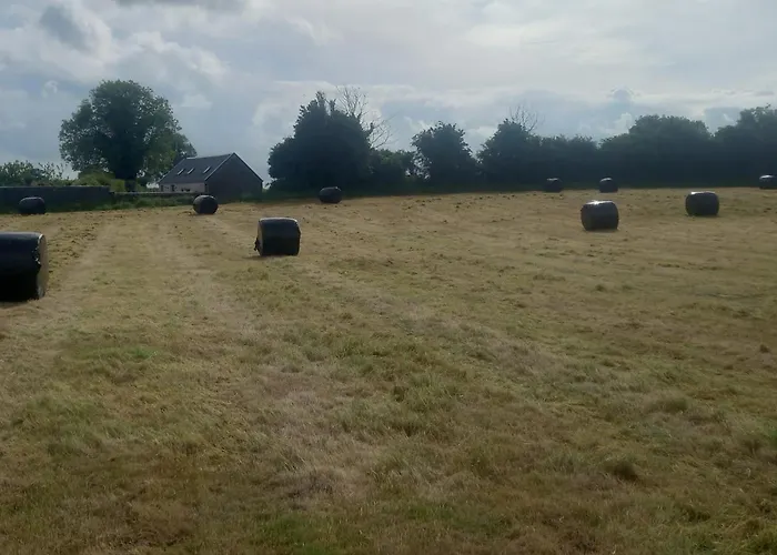 Semesterbostad Kitty's - Horse And Jockey, Cashel Thurles