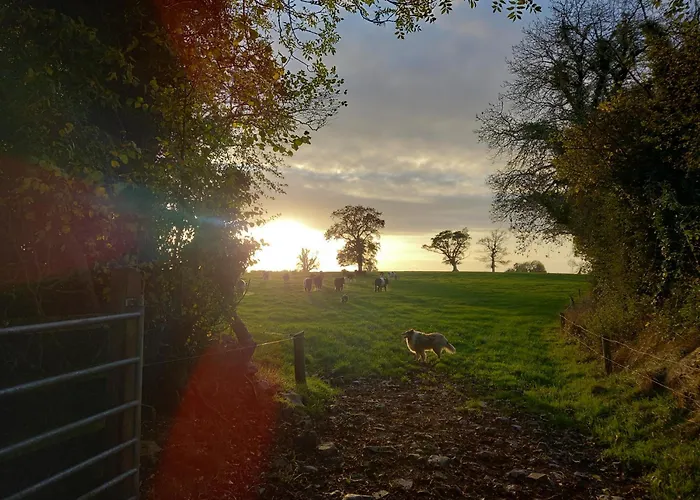 Semesterbostad Kitty's - Horse And Jockey, Cashel