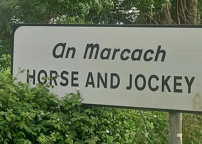 Kitty's - Horse And Jockey, Cashel Semesterbostad *