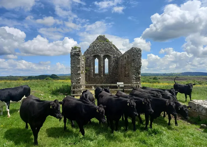 Semesterbostad Kitty's - Horse And Jockey, Cashel Thurles